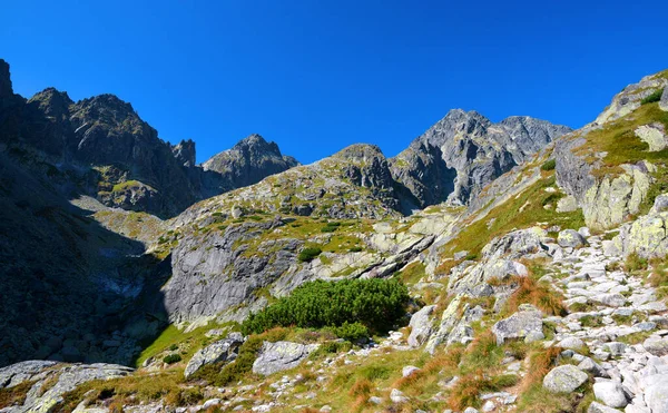Mala Studena Dolina Vysoke Tatry Monti Tatra Slovacchia Immagine Stock