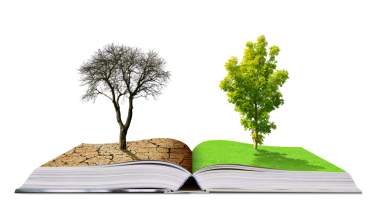 Şeffaf arka planda izole edilmiş canlı ve ölü ağacın olduğu açık bir kitap, PNG. Küresel ısınma veya iklim değişikliği kavramları.