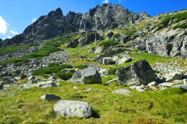 Mlynicka Vadisi 'ndeki dağ manzarası, Vysoke Tatry (Tatra Dağları), Slovakya.
