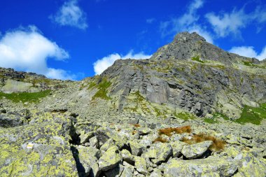 Strbsky Dağı Mlynicka Vadisi, Vysoke Tatry (Tatra Dağları), Slovakya.