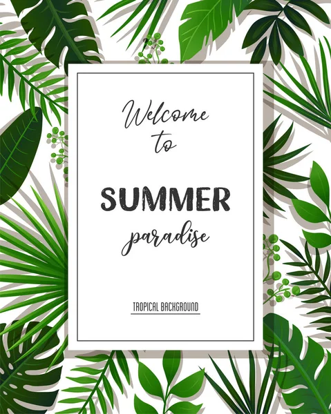 Tropical Summer Design Background Vector Ilustración — Vector de stock