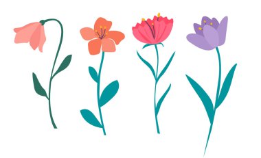 bahar çiçekleri vektör illüstrasyon seti. Çizgi film basit çiçekler, yapraklar, brunchlar, bitkiler
