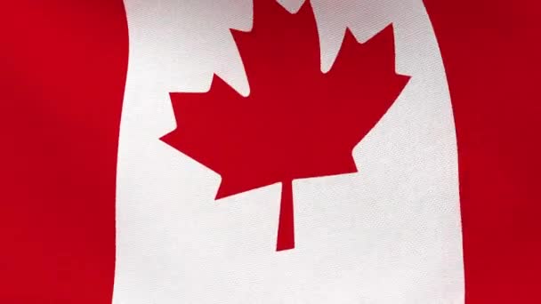 Kanadas Flagga Viftar Vinden Kanadas Flagga Looping Animation Upplösning Kanadas — Stockvideo