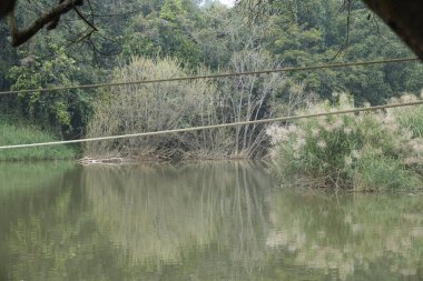 KURUVA Adası, Hindistan 'ın Kerala kentindeki Kabini Nehri üzerinde bulunan bir ada kümesidir.