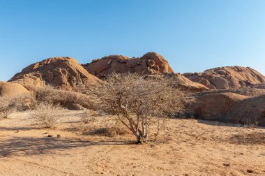 Spitzkoppe yakınlarındaki Namibya çölünün manzara görüntüsü, gün batımında..