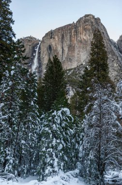 Yosemite, Yosemite Ulusal Parkı 'ndaki bu kış sahnesinin arka planından düşüyor..
