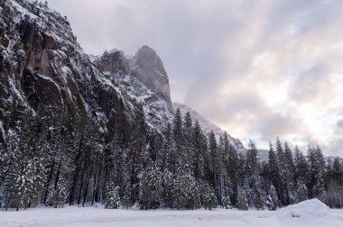 Yosemite Vadisi 'nde karla kaplı bir arazinin dışı. Öğleden sonra oldu ve ince bir sis tabakası ortaya çıkıyor. Ürkütücü bir atmosfer yaratıyor..
