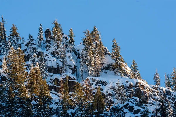 Sabahın Erken Saatlerinde Yosemite Vadisi Ndeki Karla Kaplı Ağaçları Dağları — Stok fotoğraf