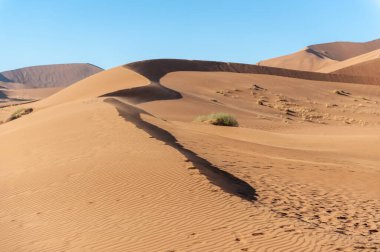 Impression of the barren sand dune landscape near the deadvlei region of Namibia.