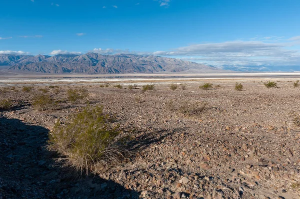 Death Valley Landscape Sunny Winter Afternoon Beatty Junction — Foto de Stock