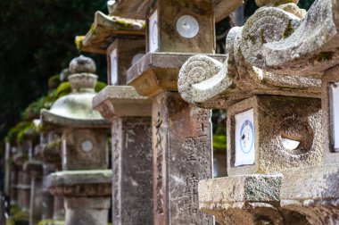 Nara, Japonya - 5 Ocak 2020. Nara Park 'ın dış görüntüsü. Nara, Japonya 'da birçok tapınağı ve tapınağı ile ünlü tarihi bir şehirdir. Birçok insan yeni yılın ilk günlerinde ziyaret eder..