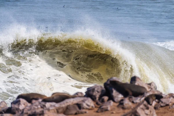 纳米比亚海角横贯封锁区的巨浪冲破 — 图库照片