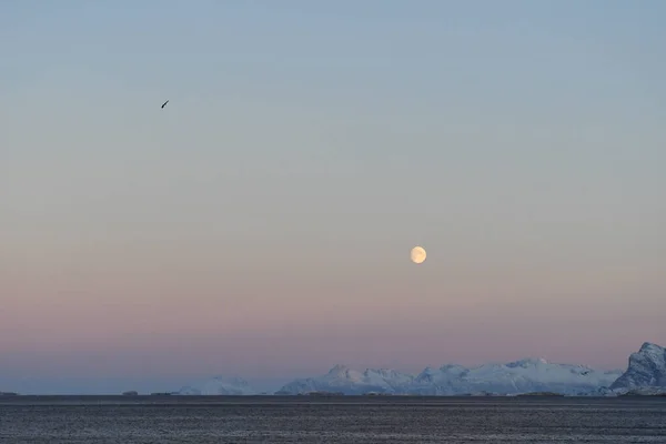 Landscape Shot Highlighting Full Moon Rugged Mountains Arctic Norway Bodo — Fotografia de Stock