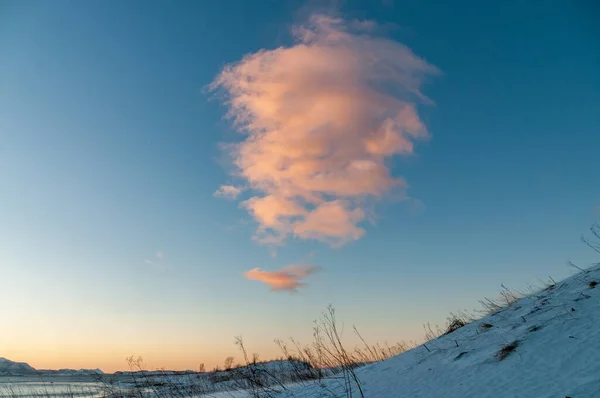 Czerwona Chmura Oświetlona Niskim Słońcem Zimie Arktycznej Norwegii — Zdjęcie stockowe