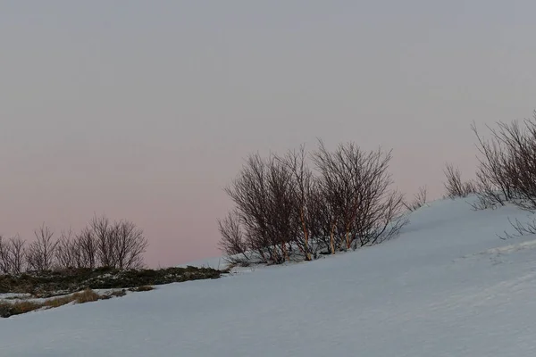 雪に覆われたノルウェーの山の詳細 — ストック写真