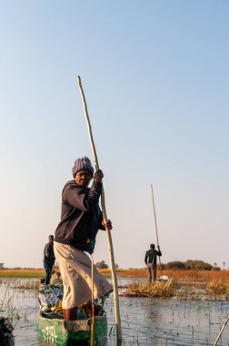 Okavango Delta, Botswana - 3 Ağustos 2022. Bir grup yerli kayıkçı, Mokoros 'taki Okavango deltası boyunca bir grup turisti taşıyor..