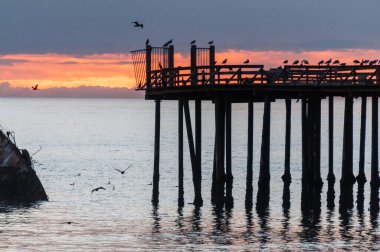 Silhoutte of the SS Palo Alto, an old World War II shipwreck, around sunset off the coast of Aptos, Californa, near seacliff beach.