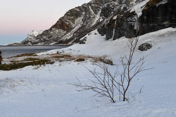 黄金の時間の間に 北極のノルウェーで 武道の近くの険しい山の詳細 — ストック写真
