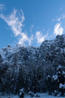 Karla kaplı küçük bir grup ağaç Yosemite vadisi boyunca dağın tepelerine dizilir..