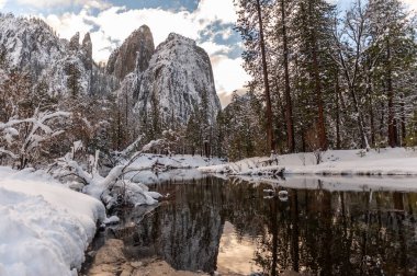 Snow-covered trees line the merced river in Yosemite valley on a late winter afternoon.