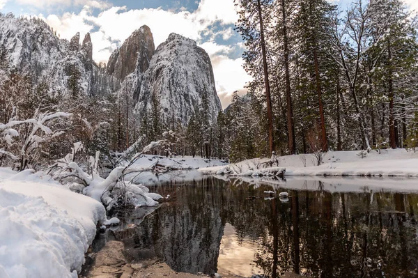 Snow Covered Trees Line Merced River Yosemite Valley Late Winter —  Fotos de Stock