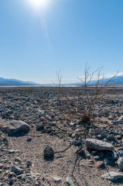 Death Valley landscape on a sunny winter afternoon, near Beatty junction.