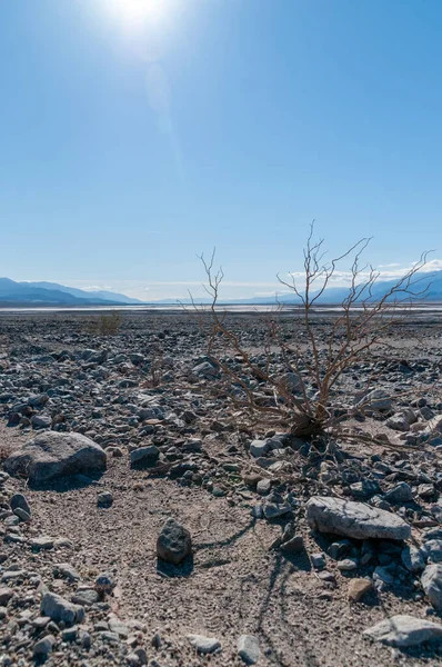 Death Valley Landscape Sunny Winter Afternoon Beatty Junction —  Fotos de Stock
