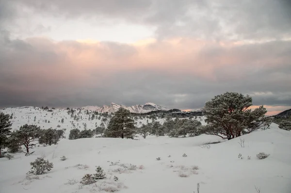 stock image Snow landscape in the mountains of arctic Norway in winter