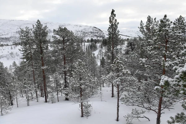 stock image Snow landscape in the mountains of arctic Norway in winter