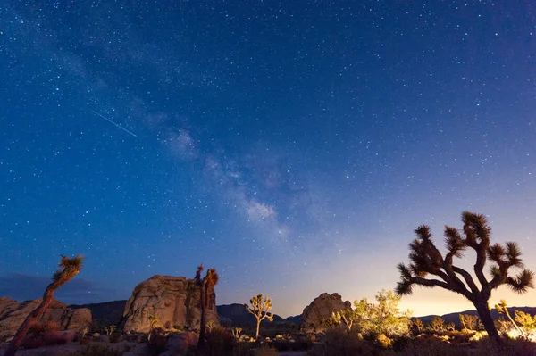 在一个宁静的夏夜 在约书亚树国家公园里 夜空的印象 指引着银河般的道路和繁星 — 图库照片