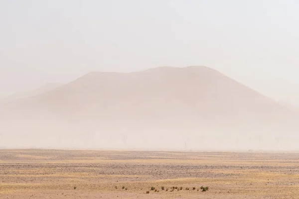 Paisaje Arbolado Namibia Sossusvlei Visibilidad Limitada Debido Una Tormenta Arena —  Fotos de Stock