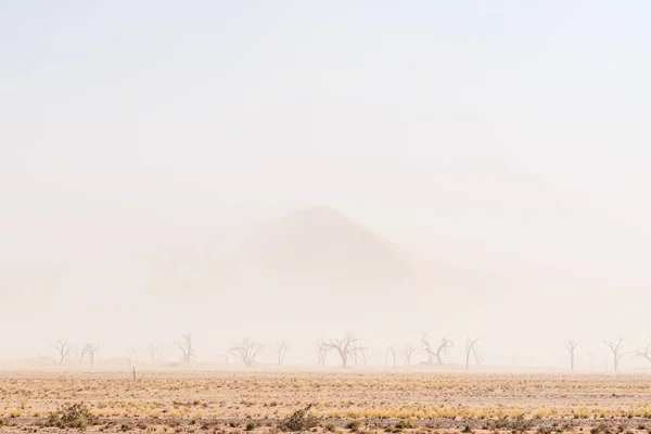 Eine Von Bäumen Gesäumte Landschaft Namibia Sossusvlei Eingeschränkter Sicht Aufgrund — Stockfoto