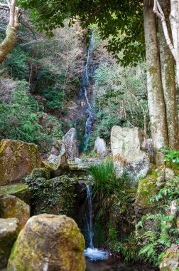 Hiroşima, Japonya - 2 Ocak 2020. Hiroşima 'daki Mitaki Dera tapınağının dış görüntüsü. Bu tapınak dünyaca ünlü ve Japon kültürünün temsilcisidir.. 