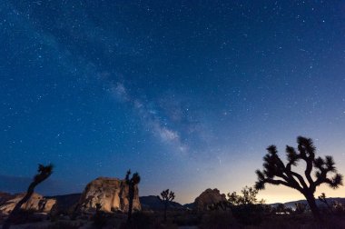 Joshua Tree Ulusal Parkı 'nda sakin bir yaz akşamında Samanyolu' nu ve birçok yıldızı gösteren gece gökyüzünün etkisi..