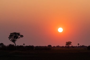 Okavango deltasındaki güzel bir günbatımının geniş açılı görüntüsü..
