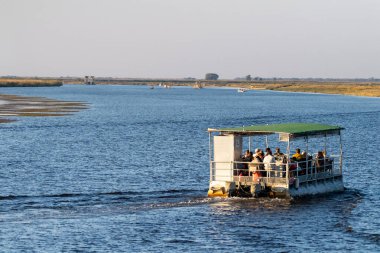 Botswana 'daki Chobe Nehri' nde bir turist teknesi koleksiyonu..