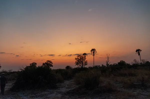 Stunning Landscape Okavango Delta Sunset — Stock Photo, Image