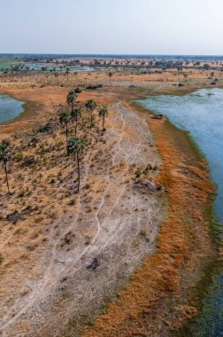 Botswana 'daki Okavango Deltası' nın hava görüntüsü. Helikopterden görüldüğü gibi..