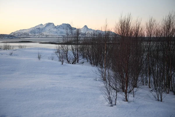 Detalhe Das Montanhas Acidentadas Perto Bodo Norte Ártico Durante Hora — Fotografia de Stock