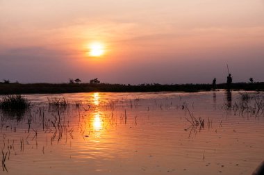 Okavango Delta, Botswana - 3 Ağustos 2022. Bir grup turist, Mokoros 'ta dikiş atarken ve yerel rehberler tarafından rehberlik edilirken Okavango Deltası' nda yaban hayatı gözlemliyor..