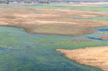 Botswana 'daki Okavango Deltası' nın hava görüntüsü. Helikopterden görüldüğü gibi..