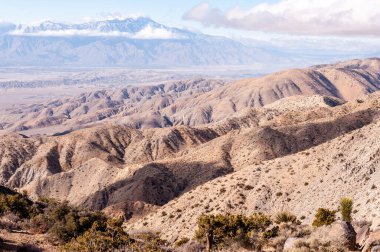 Joshua Tree Ulusal Parkı manzarası, bir kış öğleden sonra çekildi..