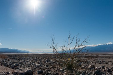 Death Valley landscape on a sunny winter afternoon, near Beatty junction.