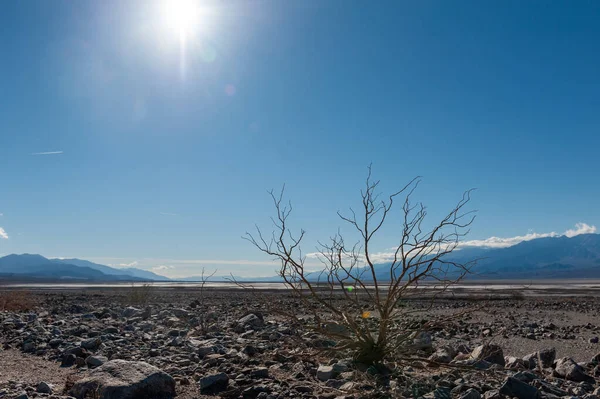 Death Valley Landscape Sunny Winter Afternoon Beatty Junction — Stockfoto
