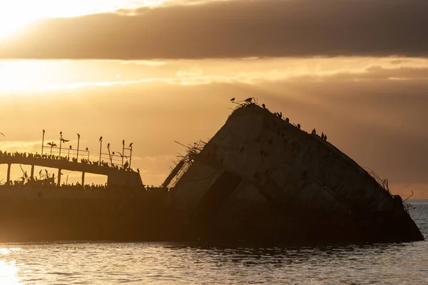 Silhoutte Palo Alto Sunset Old World War Shipwreck Coast Aptos — Foto de Stock