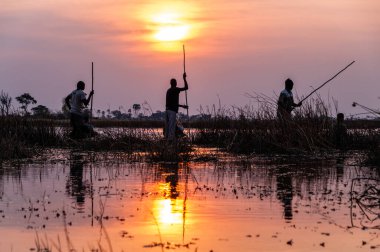 Okavango Delta, Botswana - 3 Ağustos 2022. Bir grup turist, Mokoros 'ta dikiş atarken ve yerel rehberler tarafından rehberlik edilirken Okavango Deltası' nda yaban hayatı gözlemliyor..