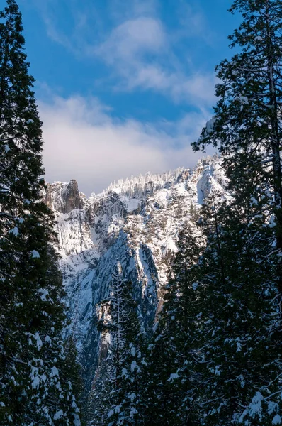 Small Group Snow Covered Trees Lines Mountain Tops Yosemite Valley — Stock Photo, Image