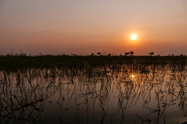 Telefoto Una Hermosa Puesta Sol Delta Del Okavango Botswana — Foto de Stock