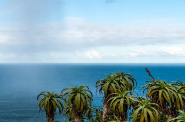 Ümit Burnu yakınlarındaki engebeli manzara, Güney Afrika.