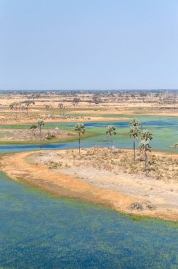 Botswana 'daki Okavango Deltası' nın hava görüntüsü. Helikopterden görüldüğü gibi..